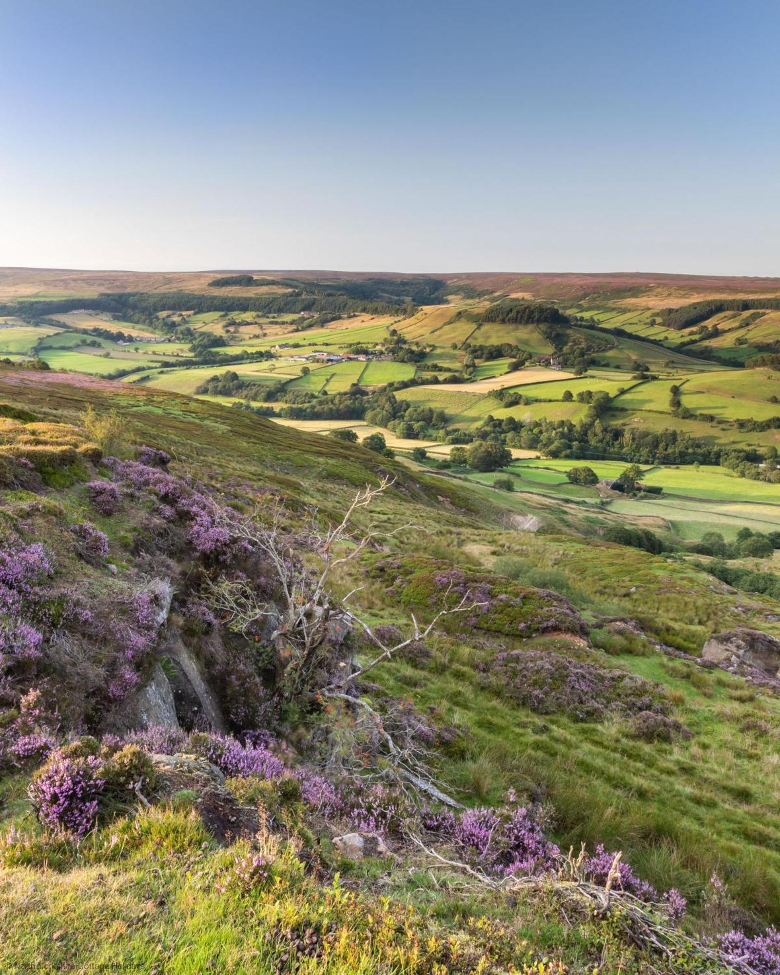 Picturesque Stone Cottage In The Heart Of North Yorkshire Village - Hideaway Cottage Kültér fotó
