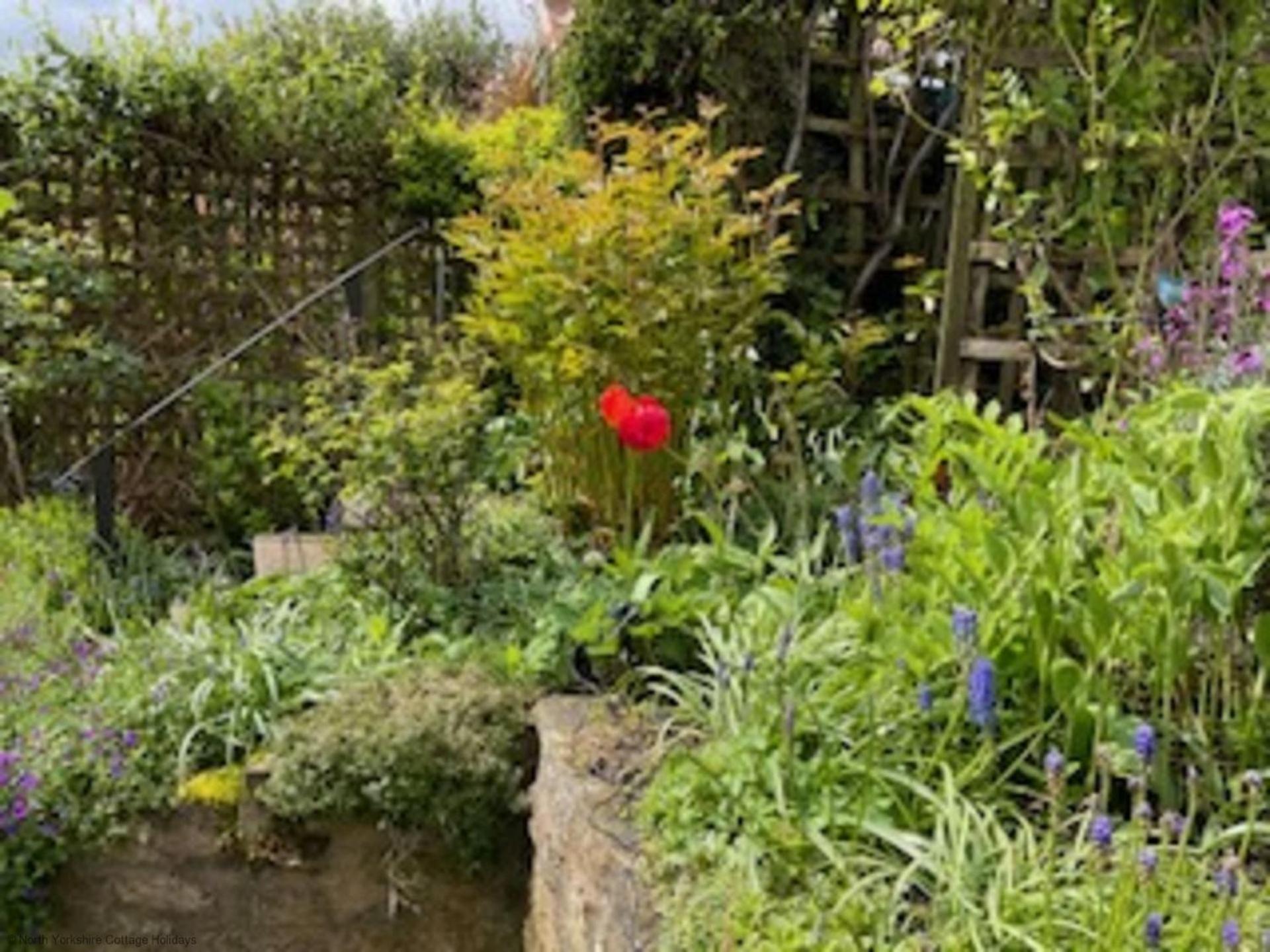 Picturesque Stone Cottage In The Heart Of North Yorkshire Village - Hideaway Cottage Kültér fotó
